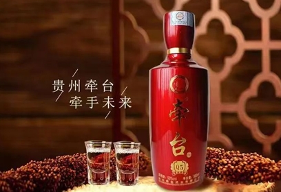 心手相牵，共鉴未来